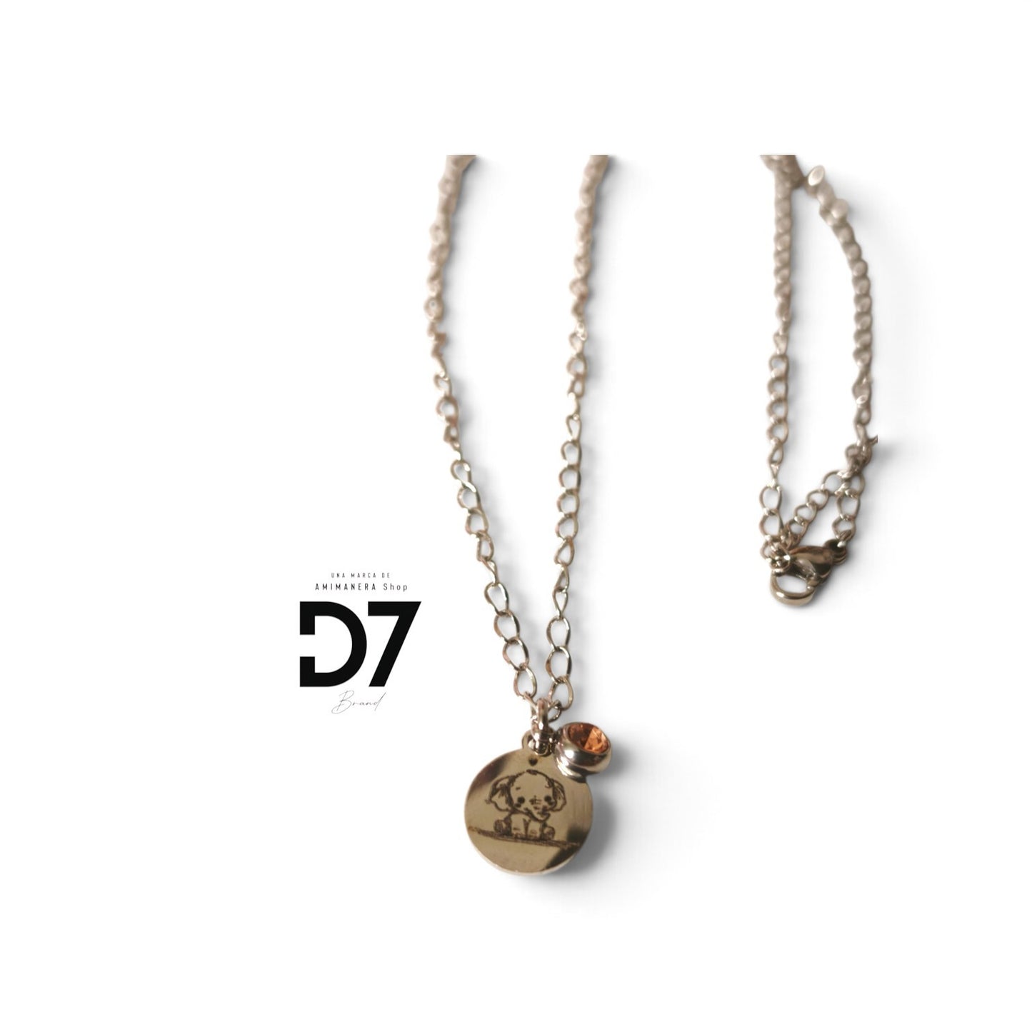 Collar Fortunito Lucky Plata - D7 Brand
